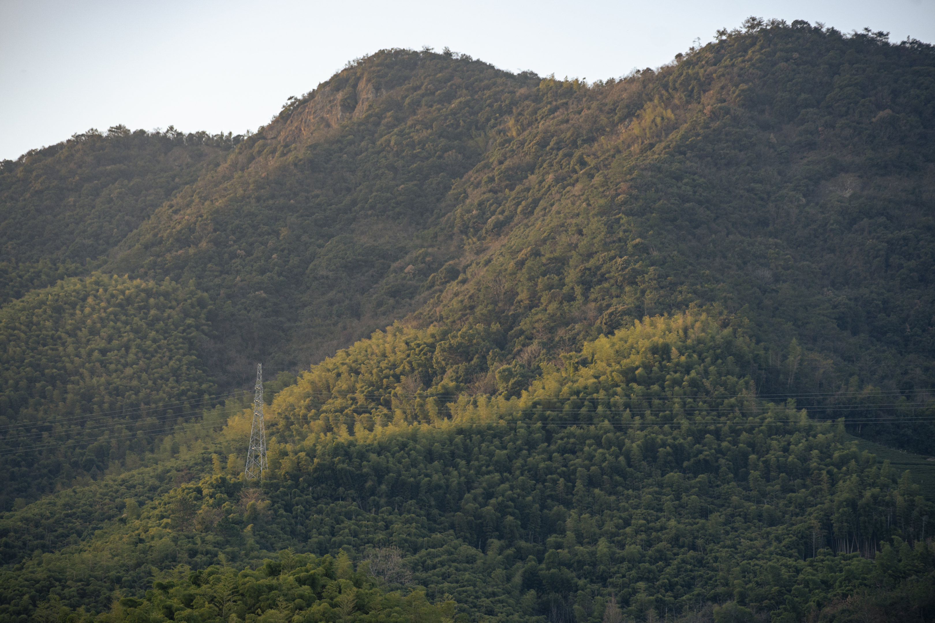 湖州莫干山天际森谷山野乐园
