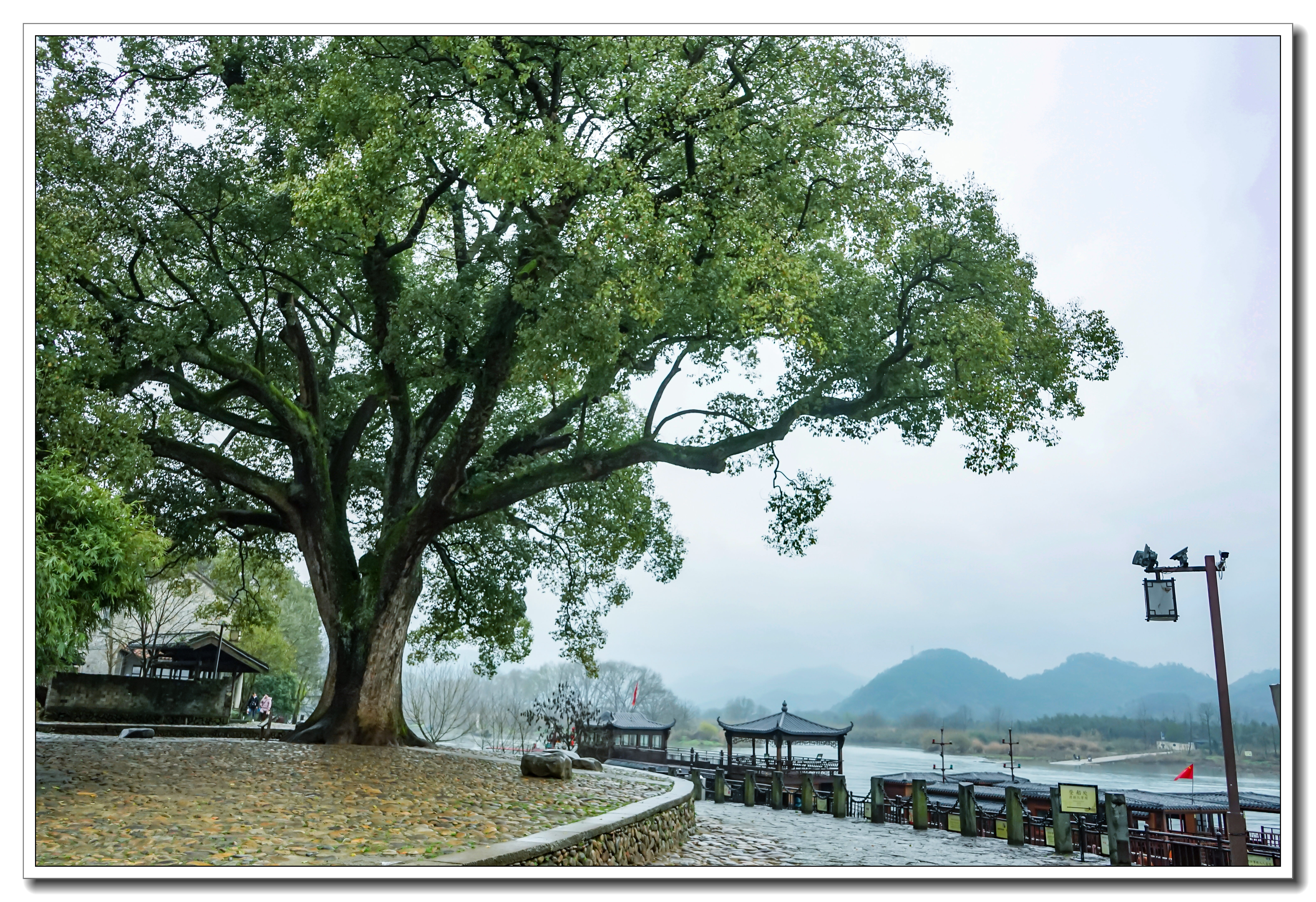 丽水古堰画乡景区