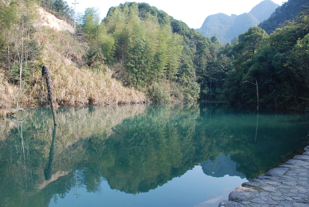 十堰牛头山森林公园