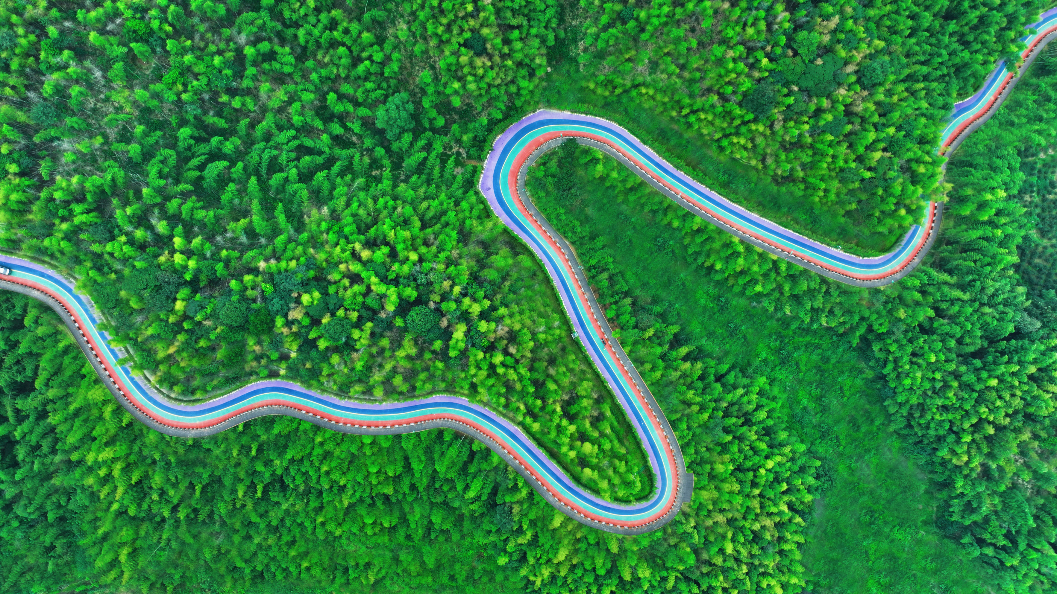益阳桃花江竹海风景区