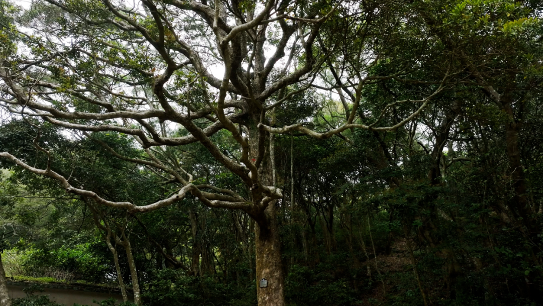 汕头南澳岛