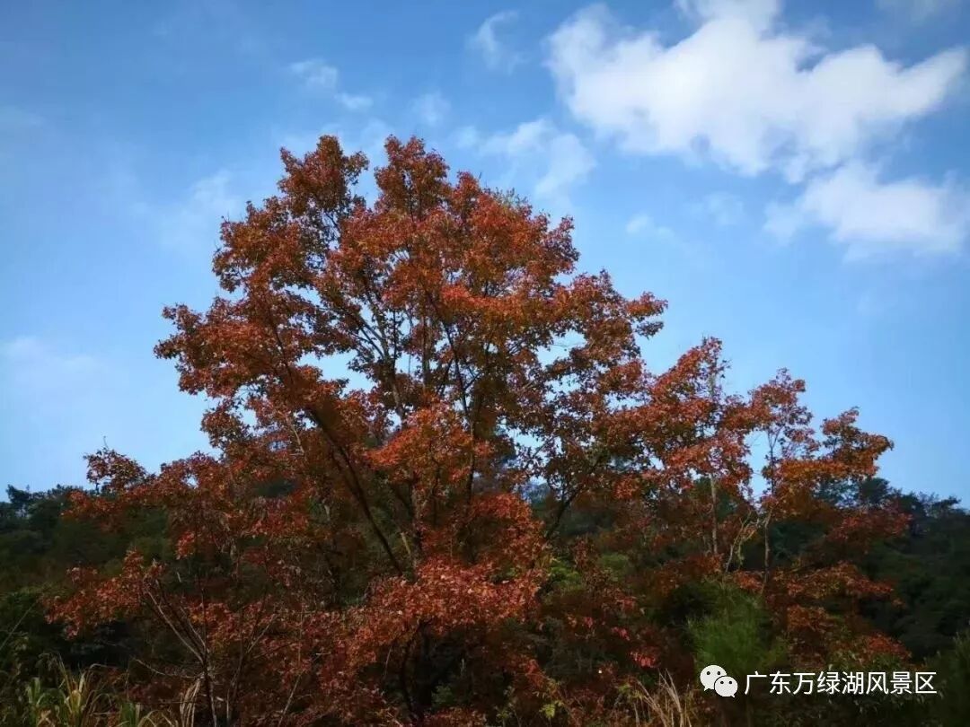 河源万绿湖风景区