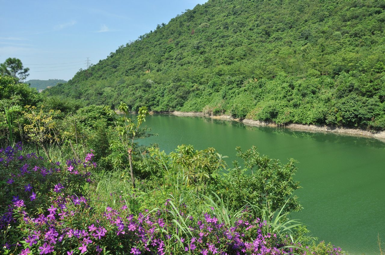 东莞银瓶山森林公园