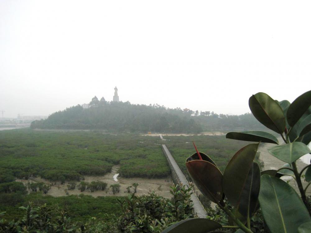 钦州仙岛公园